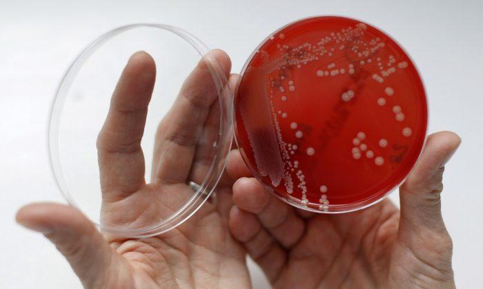 Responding to the Superbug Crisis
