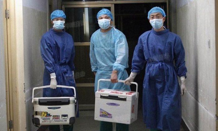 Former Police Officer Recounts Witnessing ‘Industrialized’ Organ Harvesting in China