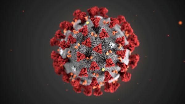 The ultrastructural morphology exhibited by the 2019 Novel Coronavirus (2019-nCoV), which was identified as the cause of an outbreak of respiratory illness first detected in Wuhan, China, is seen in an illustration released by the Centers for Disease Control and Prevention (CDC) in Atlanta, on Jan. 29, 2020. (Alissa Eckert, MS; Dan Higgins, MAM/CDC/Handout via Reuters)
