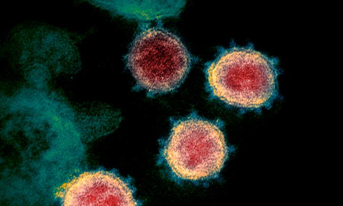 Delta Variant Comprises More Than Half of COVID-19 Cases in US, CDC Says