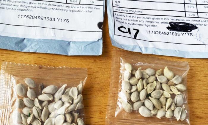 Utah, Virginia Residents Warned Not to Plant Seeds Marked With Chinese Writing