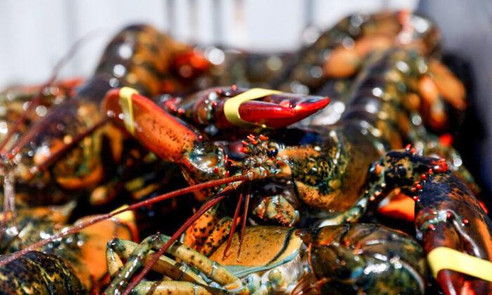 China-Linked Twitter Accounts Claim COVID-19 Came From Maine Lobsters