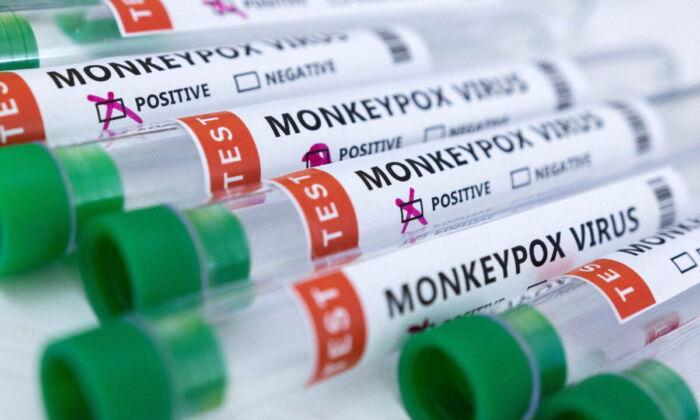 ‘Should Not Expect’ Monkeypox to Stay Within LGBT Population, Senior WHO Officials Warns