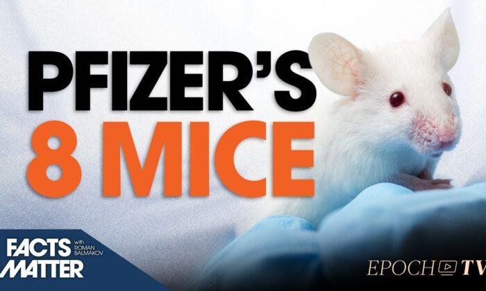 Safety of Millions of Americans Hinge on Data From 8 Mice: Pfizer’s New Formulation Had No Human Trials Prior to Approval | Facts Matter