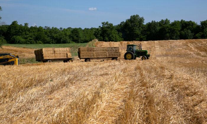 End of Cheap Money for US Farmers Plows Trouble Into Food Production