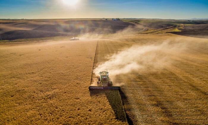 IN-DEPTH: Battle for the Heartland—How US Farmland Is Quietly Falling Into Chinese Hands