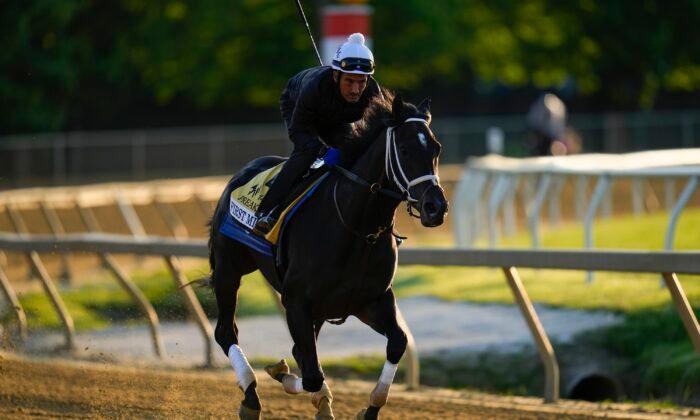First Mission Scratched From Preakness by Vet 36 Hours Before Triple Crown Race