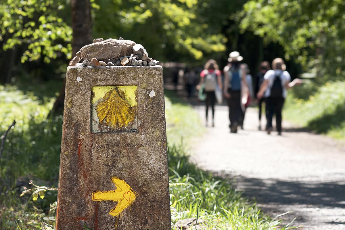 Pilgrims follow the yellow arrows and scallop shells marking the way to Santiago de Compostela. (Gena Melendrez/Shutterstock)