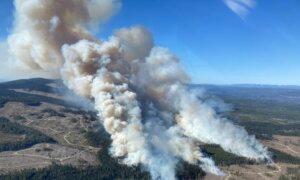 Alberta and BC Have Already Battled Hundreds of Blazes in Early Start to Wildfire Season